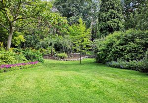 Optimiser l'expérience du jardin à Etreham